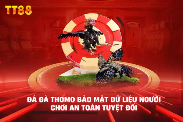 Đá gà Thomo bảo mật dữ liệu người chơi an toàn tuyệt đối